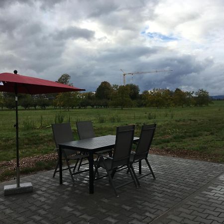 Monteurwohnung 2 Ingelheim am Rhein Buitenkant foto