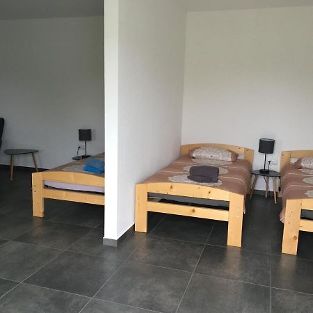 Monteurwohnung 2 Ingelheim am Rhein Buitenkant foto