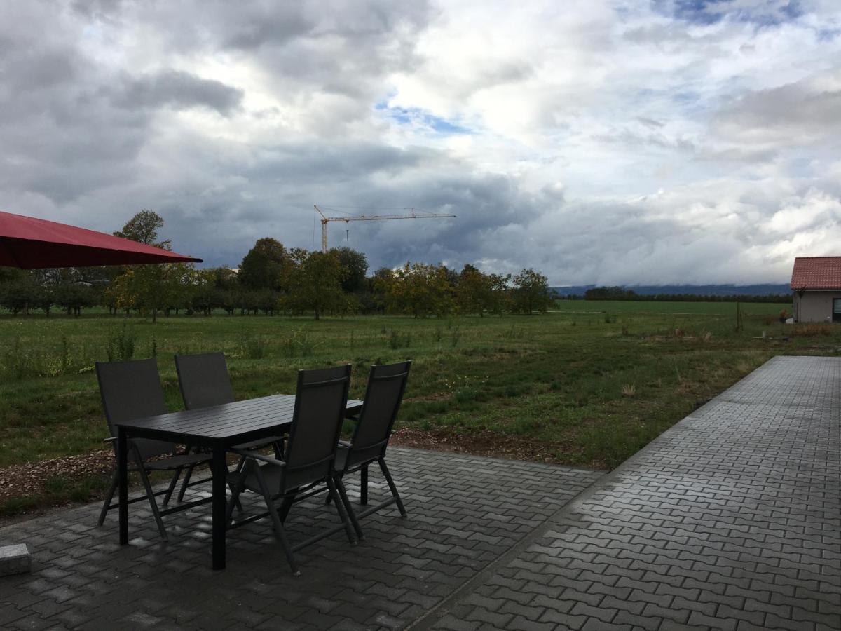 Monteurwohnung 2 Ingelheim am Rhein Buitenkant foto